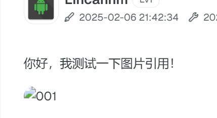 image-20250206232116558